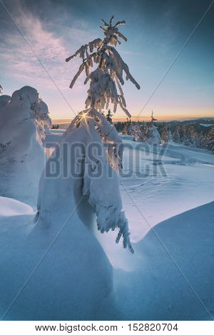 Fantastic orange evening landscape glowing by sunlight. Dramatic wintry scene with snowy trees. Kukul ridge, Carpathians, toned like Instagram filter