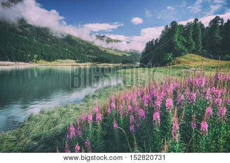 Amazing sunny day at Champferersee lake in the Swiss Alps. Silvaplana village, Switzerland, Europe, toned like Instagram filter