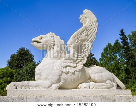 Griffin statue. Griffins is mythological winged beings with a body of a lion and the head of an eagle