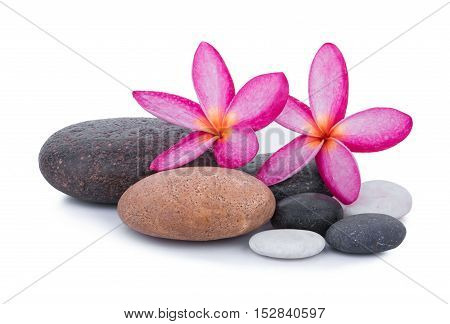 stones with frangipani flower isolated on white