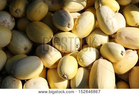 Squashs In A Market, Montreal, Quebec, Canada