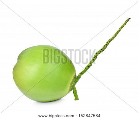 fresh green coconuts isolated on white background