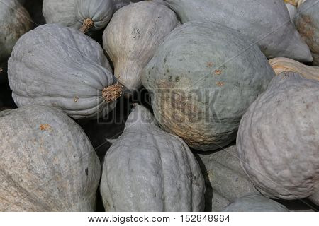 Squashs In A Market, Montreal, Quebec, Canada