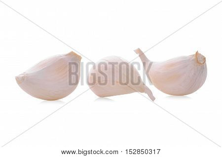 fresh garlic isolated on the white background