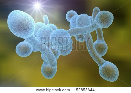 3D illustration of fungi Candida albicans which cause candidiasis, thrush, on colorful background. Pathological fungus or yeast