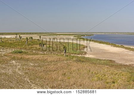 Shore Habitat of a Gulf Coast Refuge in the Luguna Atascosa Wildlife Refuge in Texas