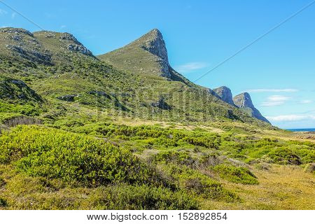 Table Mountain National Park, located on the Cape of Good Hope, Cape Peninsula, is one of the most visited National Parks in South Africa.