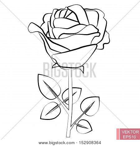 Rose flower. Silhouette. Black contour on white background. For your design.