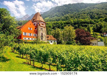 Vaduz, Liechtenstein - July 01, 2016: Famous red house with wineyard owned by the Rheinberger family in Vaduz city, Liechtenstein. This house is very popular tourist attraction in Liechtenstein