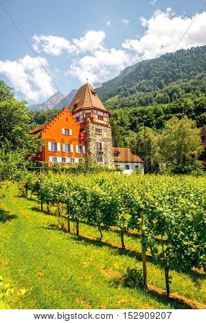 Vaduz, Liechtenstein - July 01, 2016: Famous red house with wineyard owned by the Rheinberger family in Vaduz city, Liechtenstein. This house is very popular tourist attraction in Liechtenstein