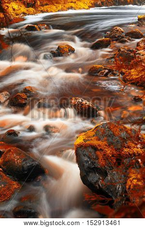 Newell Creek In Tasmania