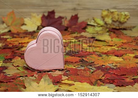Decorative heart lies on a beautiful autumn leaves