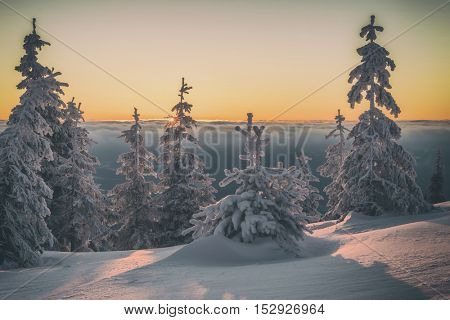 Fantastic orange evening landscape glowing by sunlight. Dramatic wintry scene with snowy trees. Kukul ridge, Carpathians, Ukraine, Europe. Merry Christmas! Toned like Instagram filter