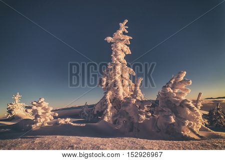 Fantastic orange evening landscape glowing by sunlight. Dramatic wintry scene with snowy trees. Kukul ridge, Carpathians, Ukraine, Europe. Merry Christmas! Toned like Instagram filter