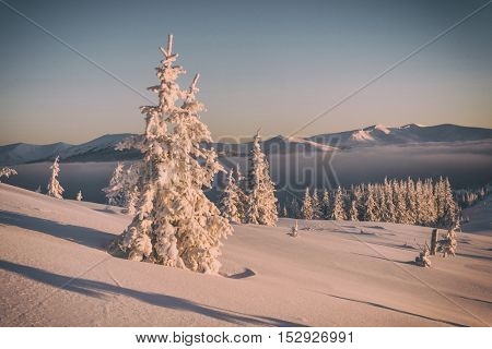 Fantastic orange evening landscape glowing by sunlight. Dramatic wintry scene with snowy trees. Kukul ridge, Carpathians, Ukraine, Europe. Toned like Instagram filter