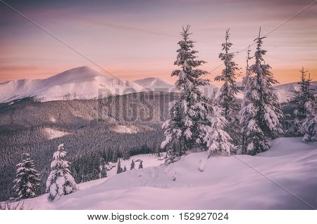 Fantastic orange evening landscape glowing by sunlight. Dramatic wintry scene with snowy trees. Kukul ridge, Carpathians, Ukraine, Europe. Merry Christmas! Toned like Instagram filter