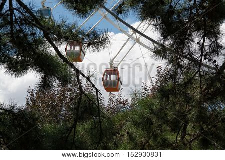 Close up view of Ferris wheel through tree brunches with blue sky as background