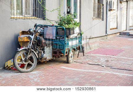 Auto rickshaw loaded with plants parked by the wall of the house on a street.