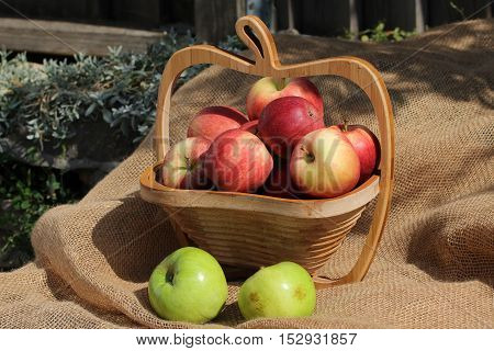 Fresh fruit / small basket with ripe apples