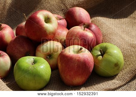 Fresh fruit / Ripe red and green apples