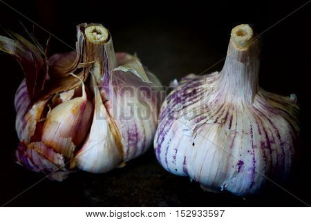 Whole garlics in the black background one half opened and a clove on the front