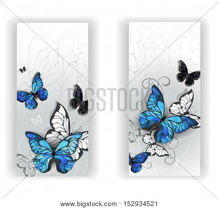 Two banners with blue butterflies morpho and black butterflies on gray textural background. Morpho. Design with blue butterflies morpho.