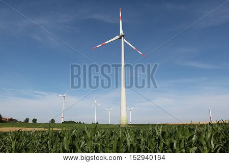 Alternative Energy / Wind turbines in a field