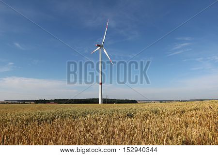 Alternative Energy / Wind turbines in a field