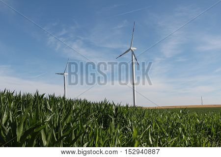 Alternative Energy / Wind turbines in a field