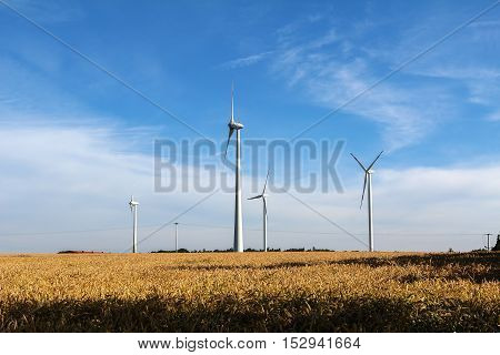 Alternative Energy / Wind turbines in a field