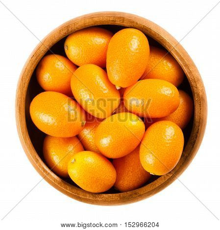 Fresh kumquats in a wooden bowl on white background, also called cumquats and Nagami kumquat. Edible small oval orange fruits of Fortunella margarita. Isolated macro food photo close up from above.