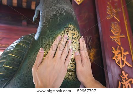 Hanoi Vietnam - September 20 2016: Two hands pat on breast of chicken doll made from bronze in temple of literature in Hanoi Vietnam to praying for lucky.