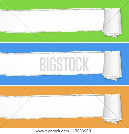 Torn Paper Pieces On Color