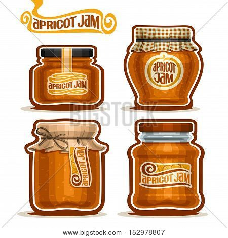 Vector logo Apricot Jam in glass Jars with paper cover lid, rustic Pot home made apricot jams, twine rope bow, set homemade fruit jam jar, jelly pot with label, checkered cloth cap, isolated on white.