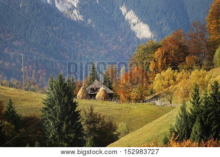Rural autumn scenery hills and valleys in Sirnea-Ciocan area Sirnea village between Brasov and Arges county Romania