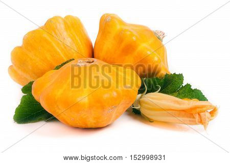 three yellow pattypan squash with leaf and flower isolated on white background.
