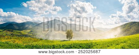 Panorama Of Beautiful Mountainous Countryside. Tree On The Hill Side In Smoke From Fire In The Valle