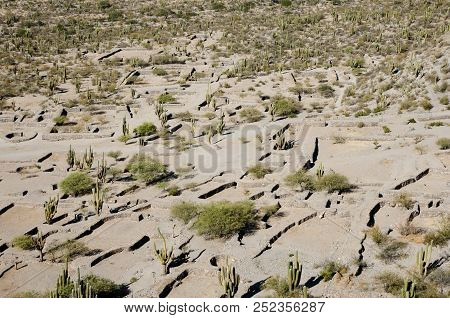 Old Quilmes Ruins - Tucuman - Argentina