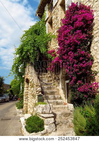 Saint-paul-de-vence - Bougainvillea Vines On The Wall
