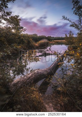 Twilight Landscape With The Tree Trunk In The Lake