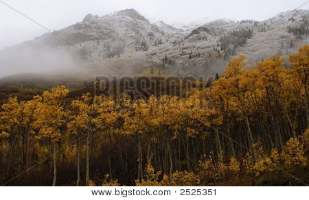 秋天的色调与山和雪，育空地区，加拿大