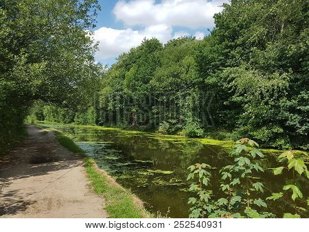 The Sunshine Shines Down On The Canal And Towpath