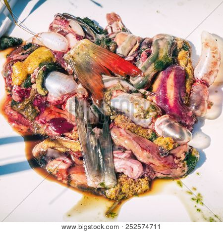 Fish Guts Offal On White. Selective Focus