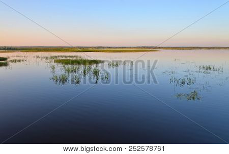 Wetland Lake Sestroretsky Razliv At Sunset In Saint Petersburg, Russia.