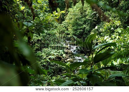 View On River In Braulio Carrillo National Park