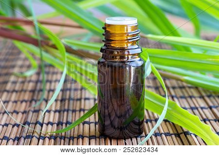 A Bottle Of Essential Oil With Fresh Lemon Grass