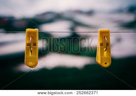 Couple Plastic Clothes Peg. Royalty High Quality Stock Photo Of Two Yellow Plastic Clothes Peg Cloth