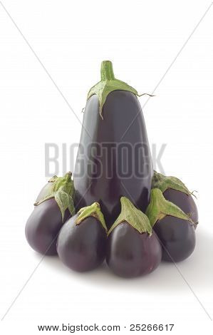 Aubergine, äggplanta, Aubergine