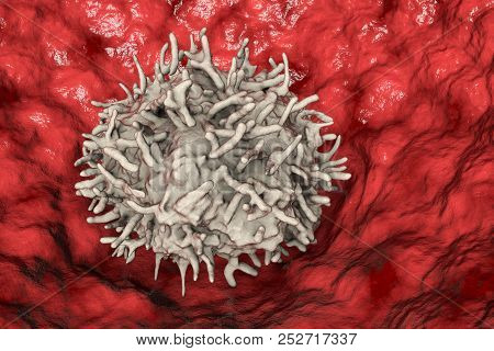 Alveolar Macrophage, Or Dust Cell, 3d Illustration. An Immune Cell Found Inside Pulmonary Alveoli, I