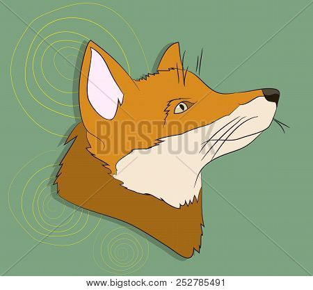 Portrait Of Fox, Vector, On Green Background, Looking Up